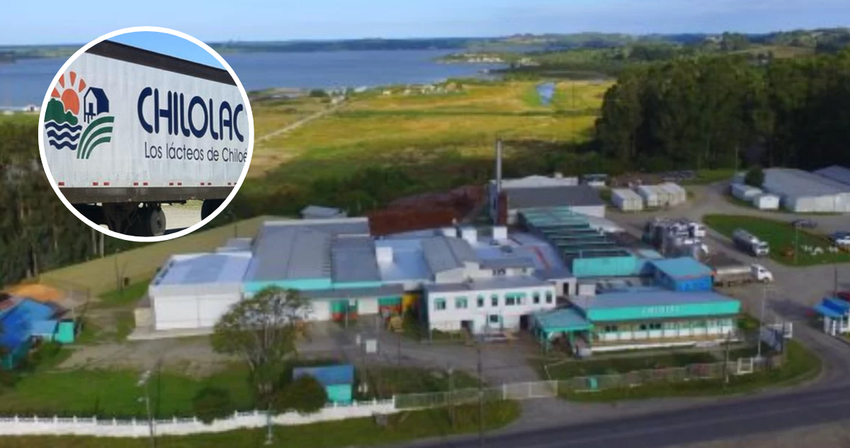Facebook: Chilolac | Archivo