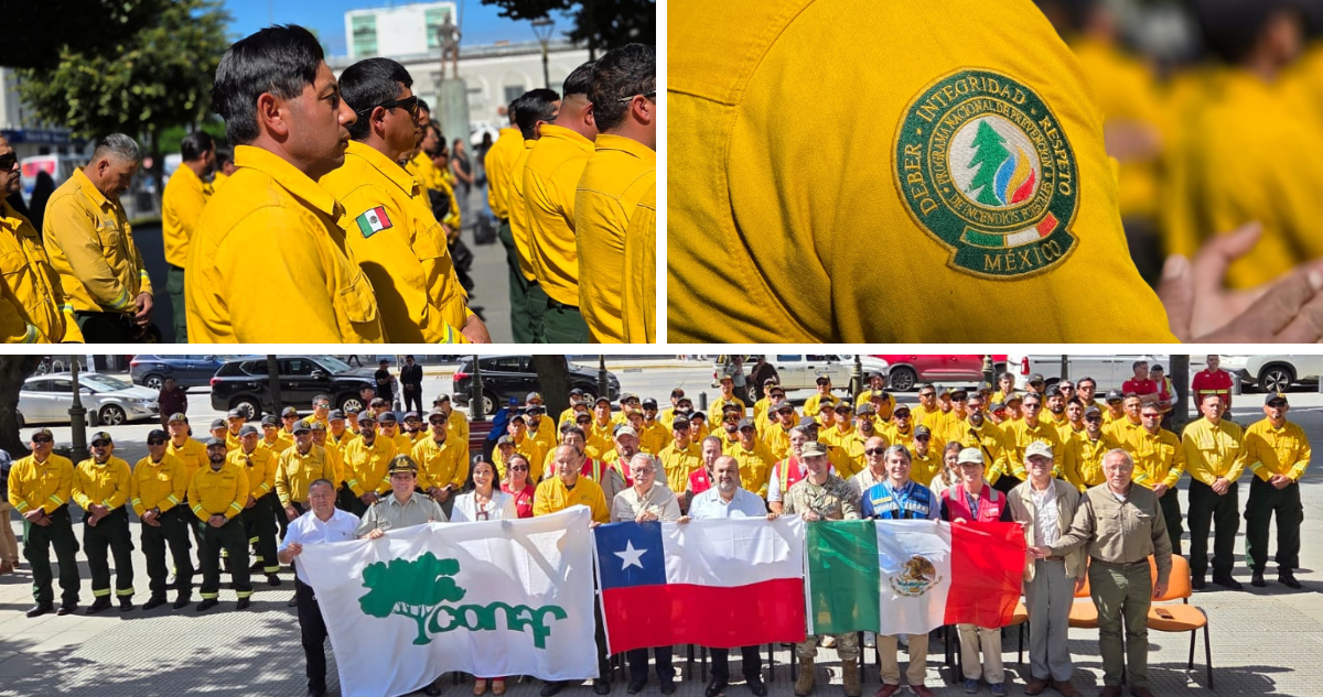 Chile despide a los 145 brigadistas mexicanos que apoyaron en control de incendios en Bío Bío y Ñuble