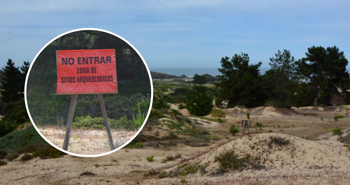 Aprueban acuerdo que pone fin a demanda por daño ambiental en campo dunar de El Tabo