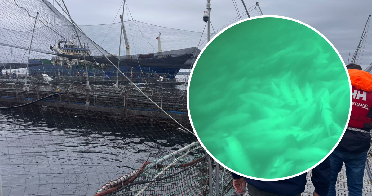 Defendamos Patagonia