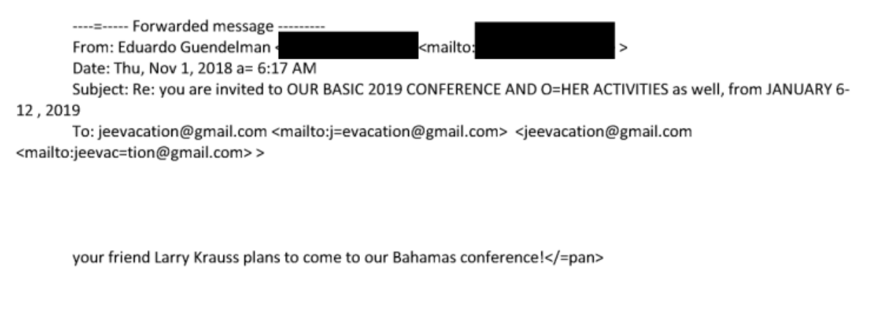 Correo de Guendelman a Epstein en que comenta que Krauss asistirá a la conferencia