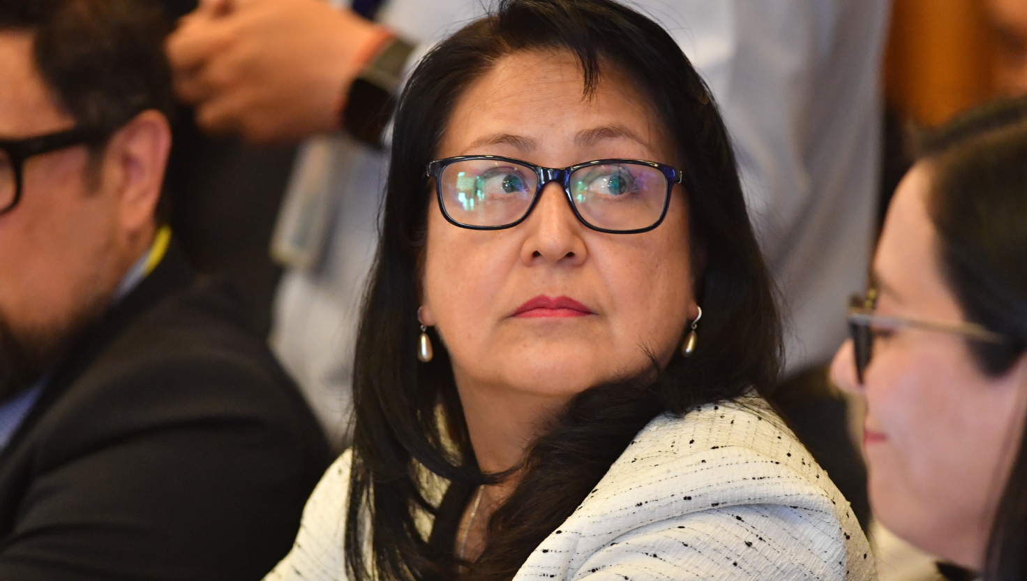 Corte acoge a trámite recurso contra Dorothy Pérez tras solicitud de datos de niños trans al Minsal