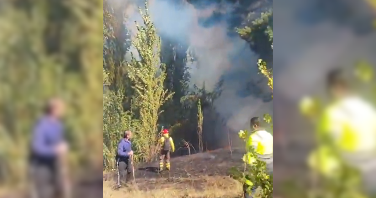 Declaran Alerta Roja en Laja por incendio forestal en sector Las Toscas: amenaza a 10 viviendas