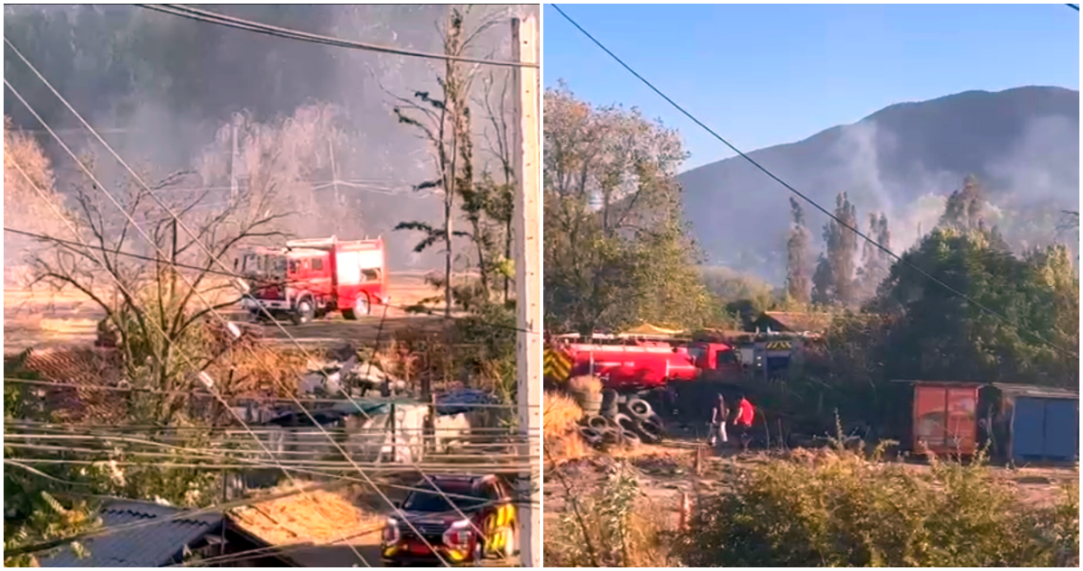 Declaran Alerta Roja en Pudahuel por incendio forestal que amenaza sectores poblados