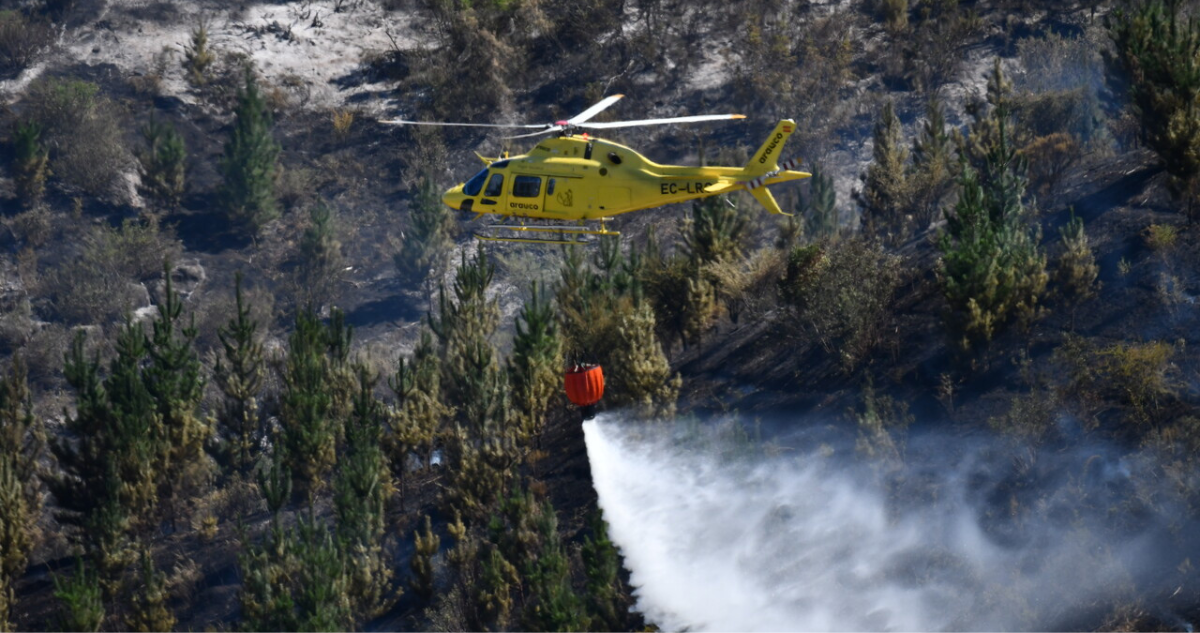 Decretan Alerta Roja en Nueva Imperial por incendio forestal: 10 hectáreas consumidas
