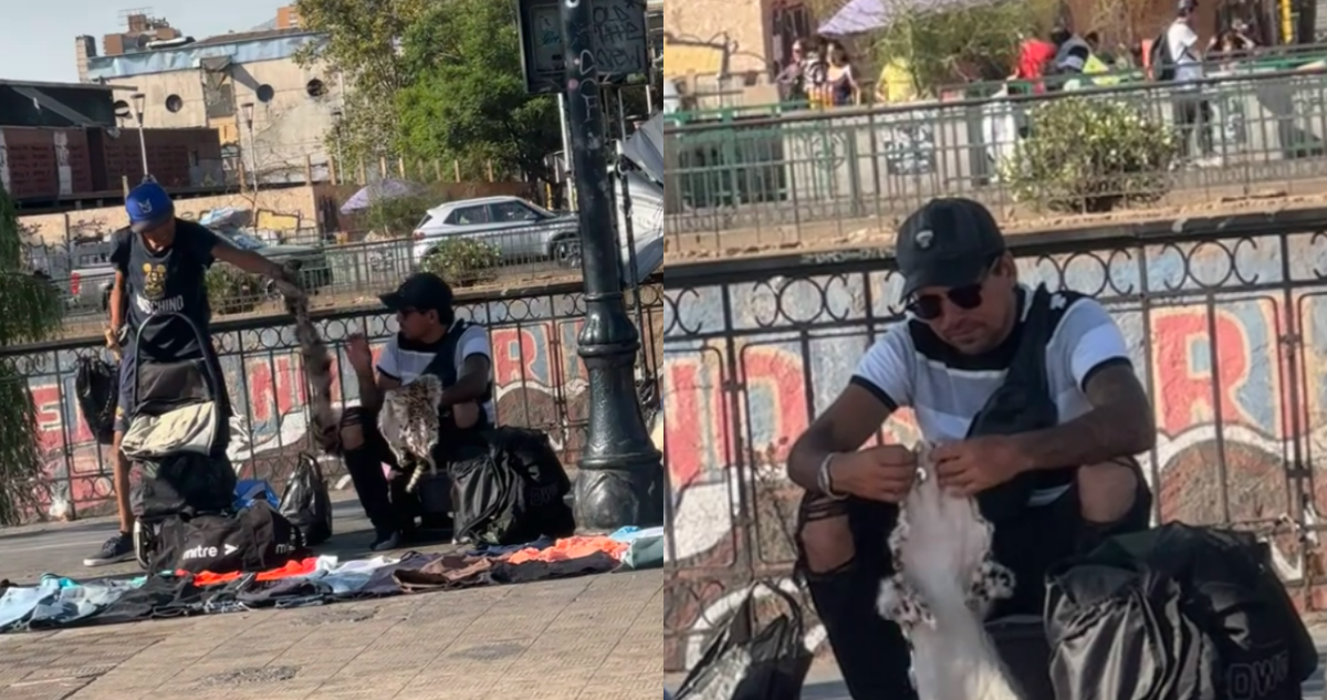 Difunden video de presunta venta de piel de gato en cercanías del Metro Puente Cal y Canto