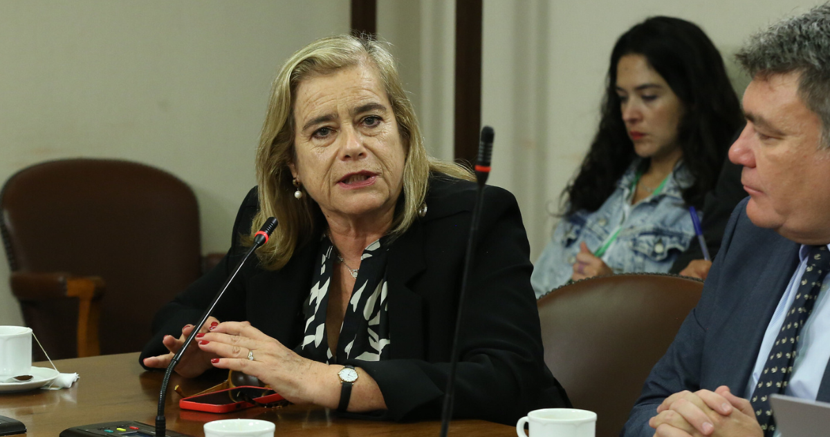 Diputados UDI anuncian catastro por posibles “amarres” del Gobierno en Subsecretaría de las FFAA