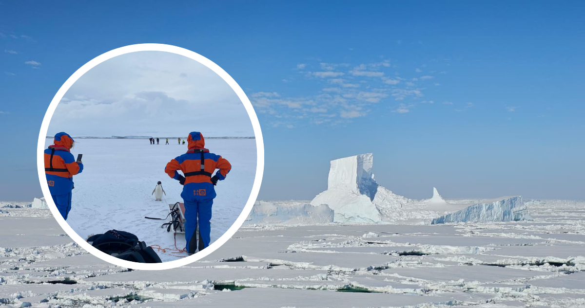 Pingüino curioso cerca del equipo científico en el hielo antártico