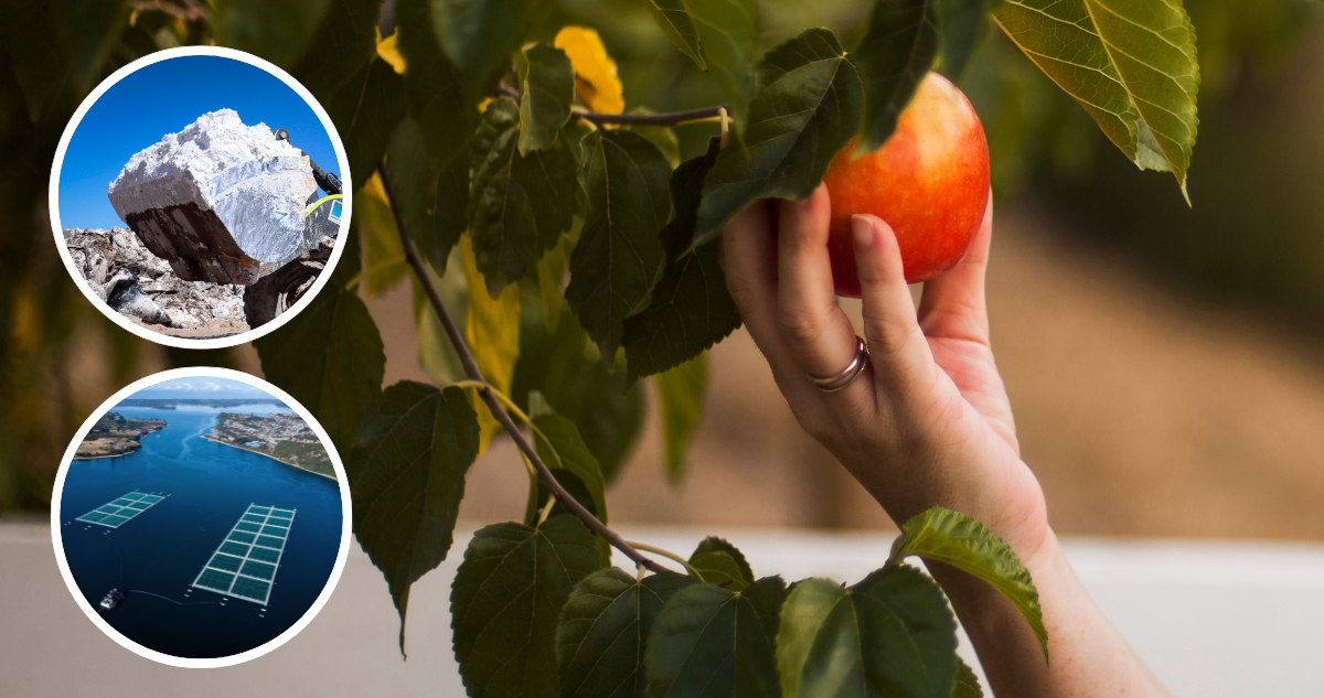 Mano de una persona cosechando una manzana de un árbol y fotos de litio y actividad acuícola.