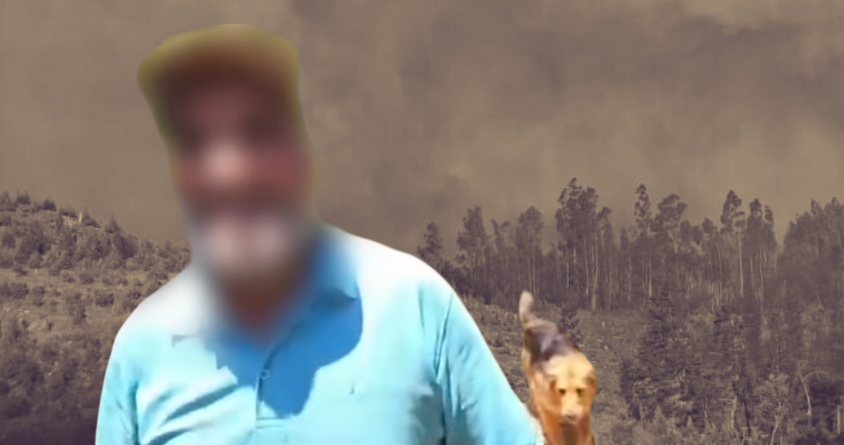 “El hombre de los perros”: vinculan a sujeto con problemas de salud mental con megaincendio en Bío Bío