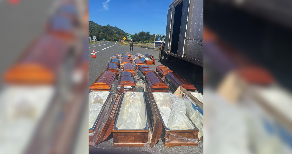 Encuentran ataúdes con marihuana tras fiscalización a camión en la Carretera Austral