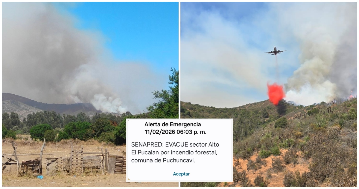 Senapred pide evacuar por incendio forestal