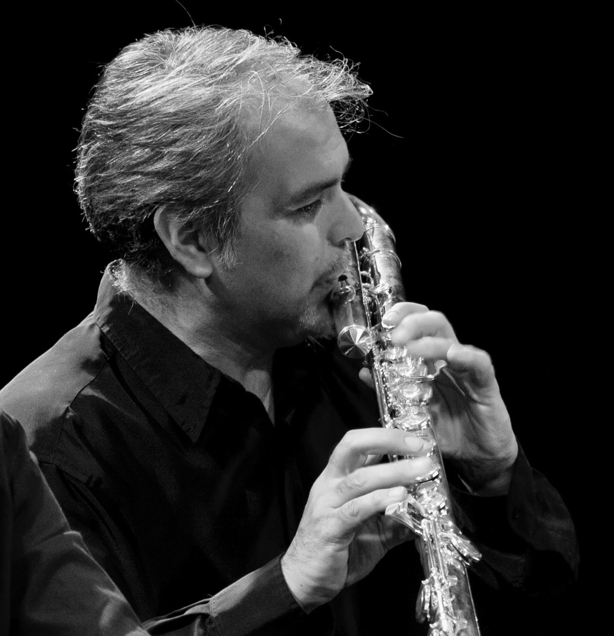 lavanderos el secreto de los pajaros