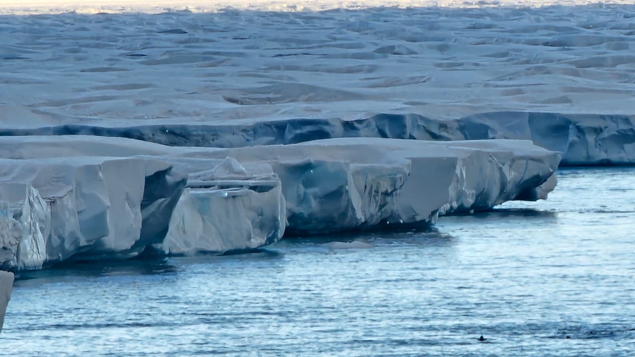 Bloques de hielo flotando en el océano.