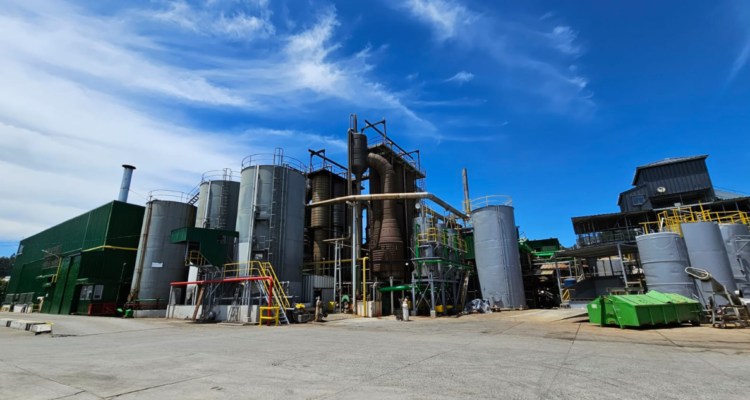 Lota: Alimar dice que construcción de plata de congelados correría peligro por ley de fraccionamiento