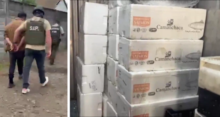Temuco: desbaratan planta procesadora clandestina e incautan más de 2 toneladas de pescados