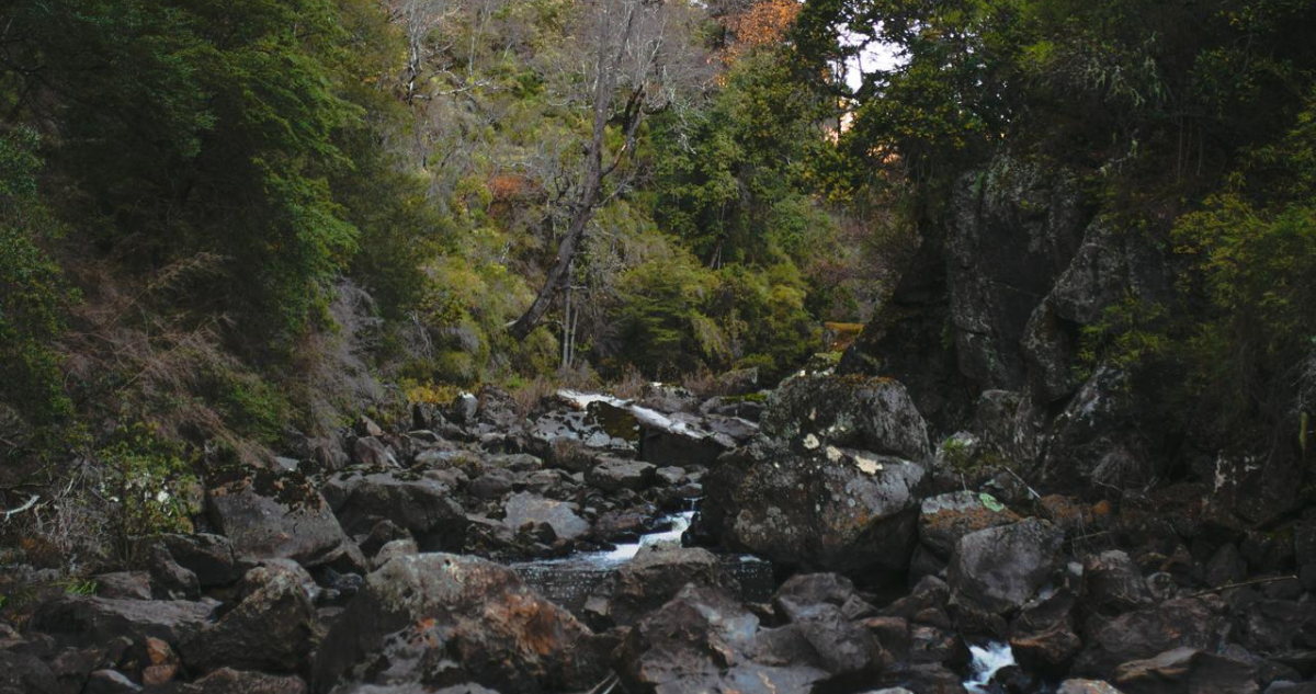 Empresa hidroeléctrica en Angol podría ser clausurada tras incumplimientos con el medio ambiente