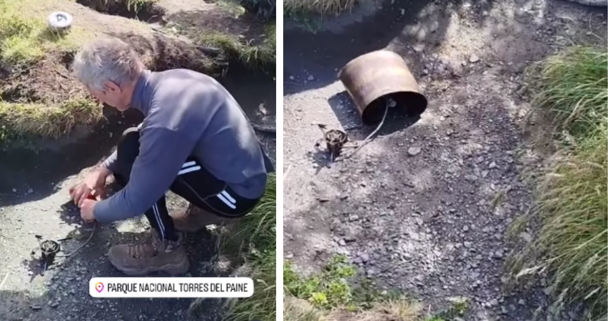 Nuevamente formalizan a extranjeros por usar fuego en Torres del Paine: todos libres a cambio de pago