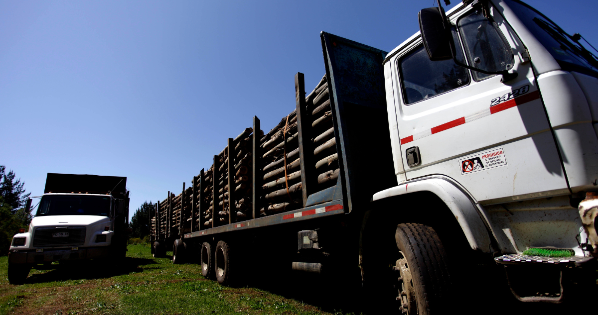 Molestia en Seremi de Seguridad Araucanía por fin de fiscalizaciones de Carabineros por robo de madera