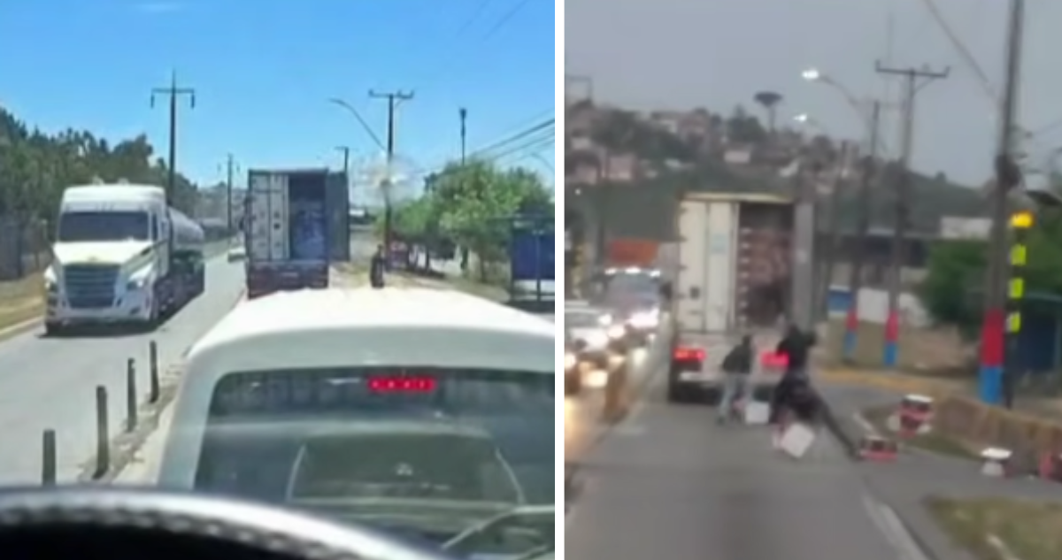 Autoridades y sector portuario adoptan medidas por “gatos” ladrones de pescados en el Bío Bío