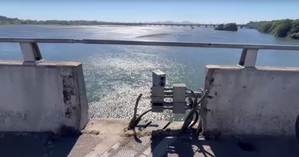Delincuentes “sacan pedazo” de puente Bicentenario de Concepción tras robo de cables y cubrejunta