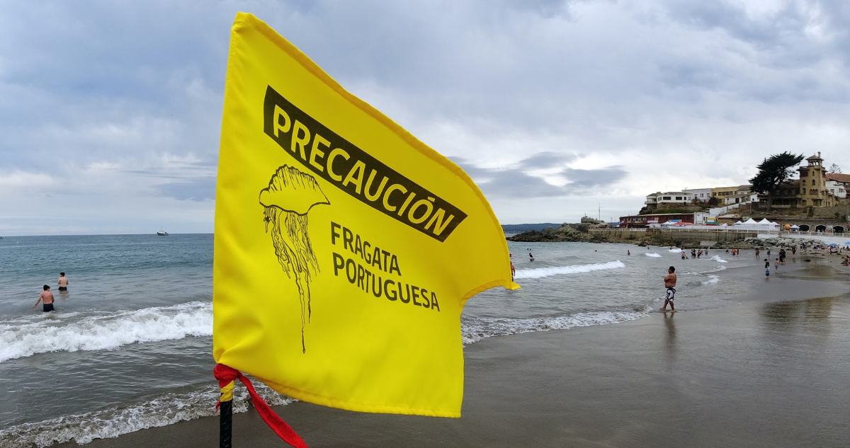 Levantan última alerta vigente por Fragata Portuguesa en región de Valparaíso: playas ya están aptas