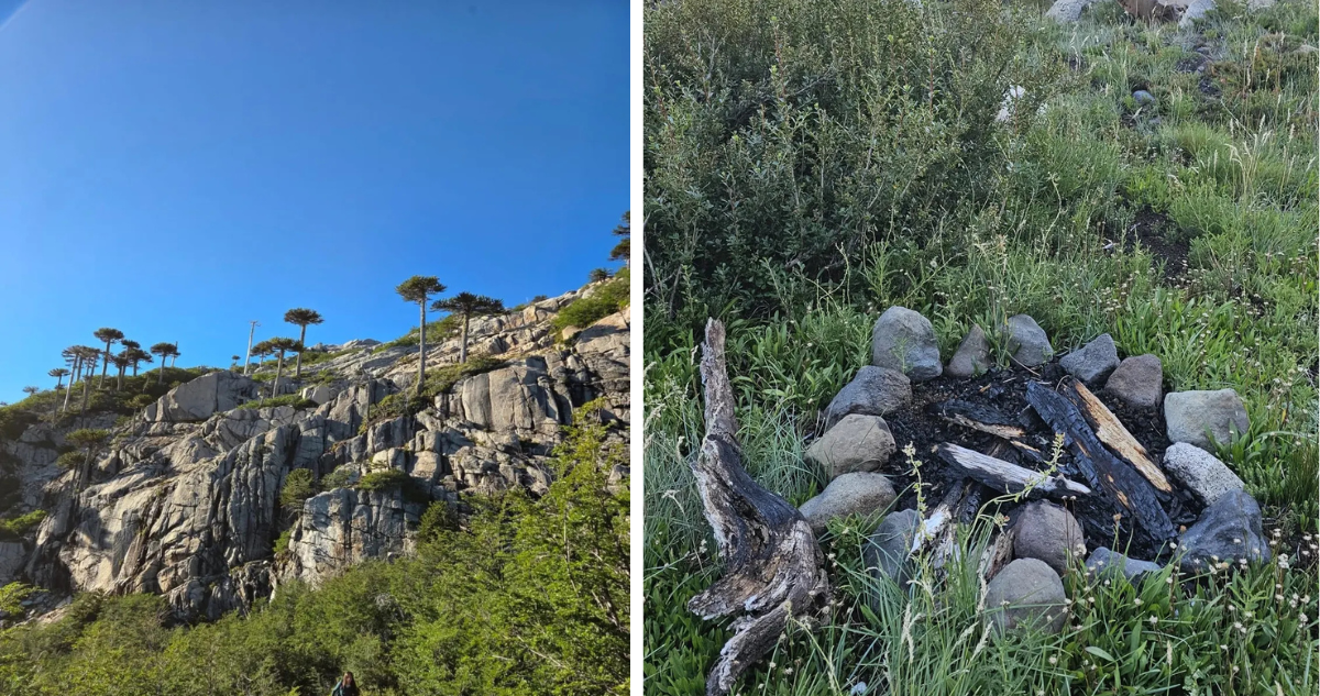 Denuncian presencia de fogatas y fecas humanas al interior del Parque Nacional Conquillio