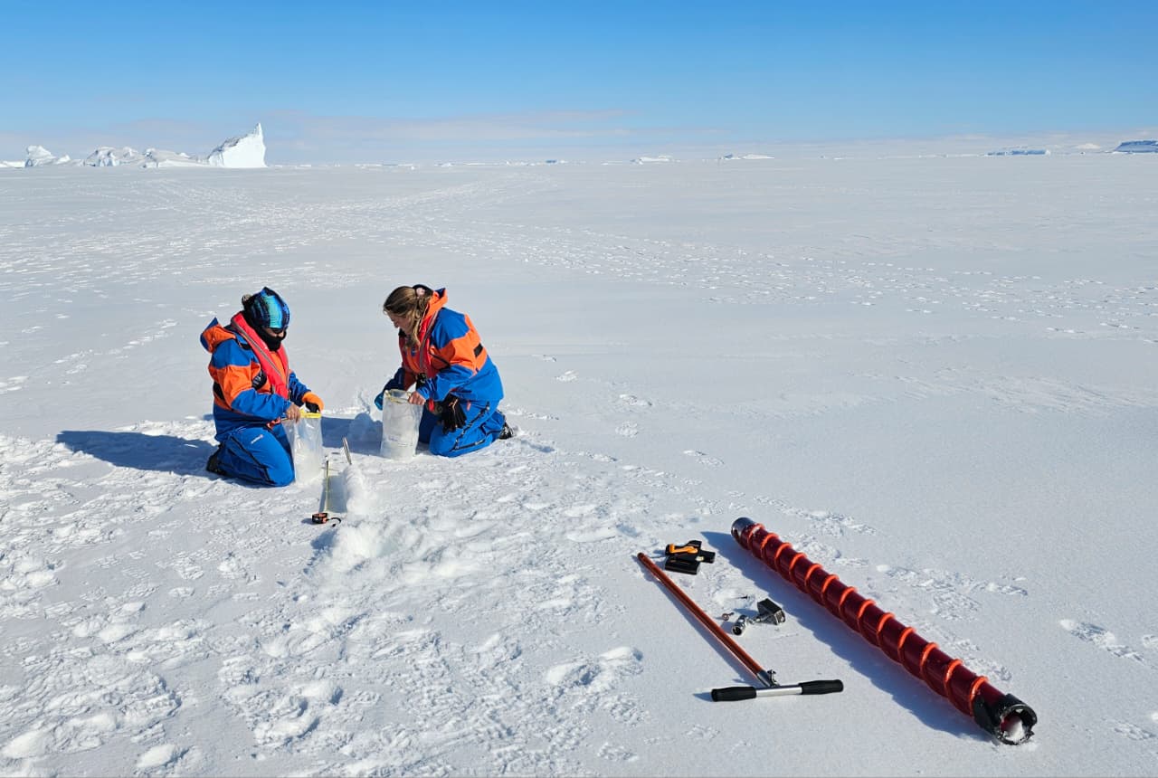  Extracción de un núcleo de hielo marino (ice core), una ventana directa a la vida atrapada en la banquisa.