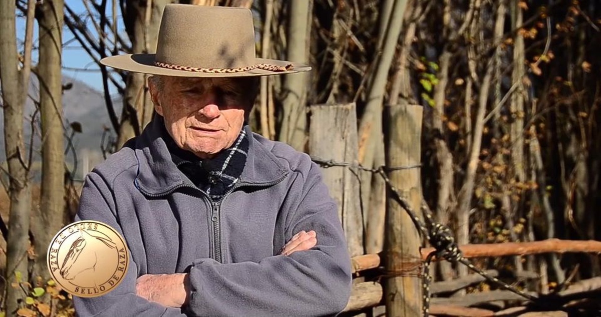 Sello de Raza: Ricardo Ibáñez Letelier