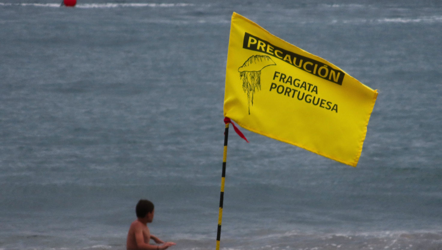 Fragata portuguesa obliga a cerrar Playa Amarilla en Concón: continúa la restricción en El Quisco