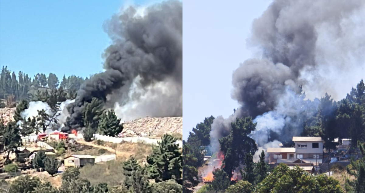 Incendio afecta sector de Reñaca Alto en Viña del Mar