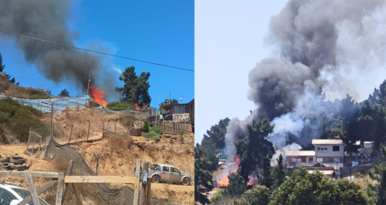 Incendio afecta sector de Reñaca Alto en Viña del Mar