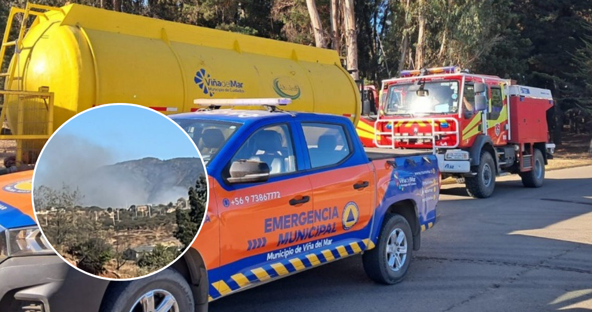 Incendio en Limache baja en intensidad pero sigue en combate: 140 hectáreas han sido consumidas