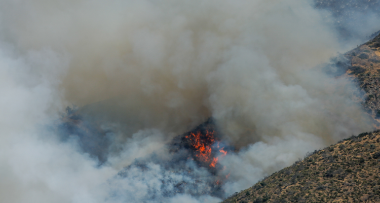 Incendio en Reserva Ñuble continúa en combate: dos focos activos en Antuco y mantención de Alerta Roja