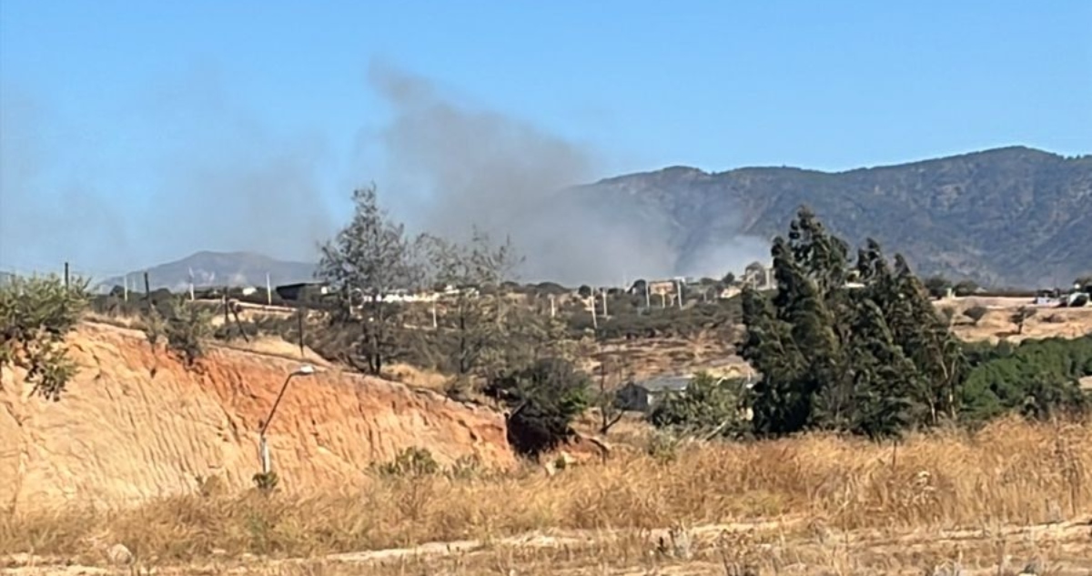 Incendio forestal en Limache