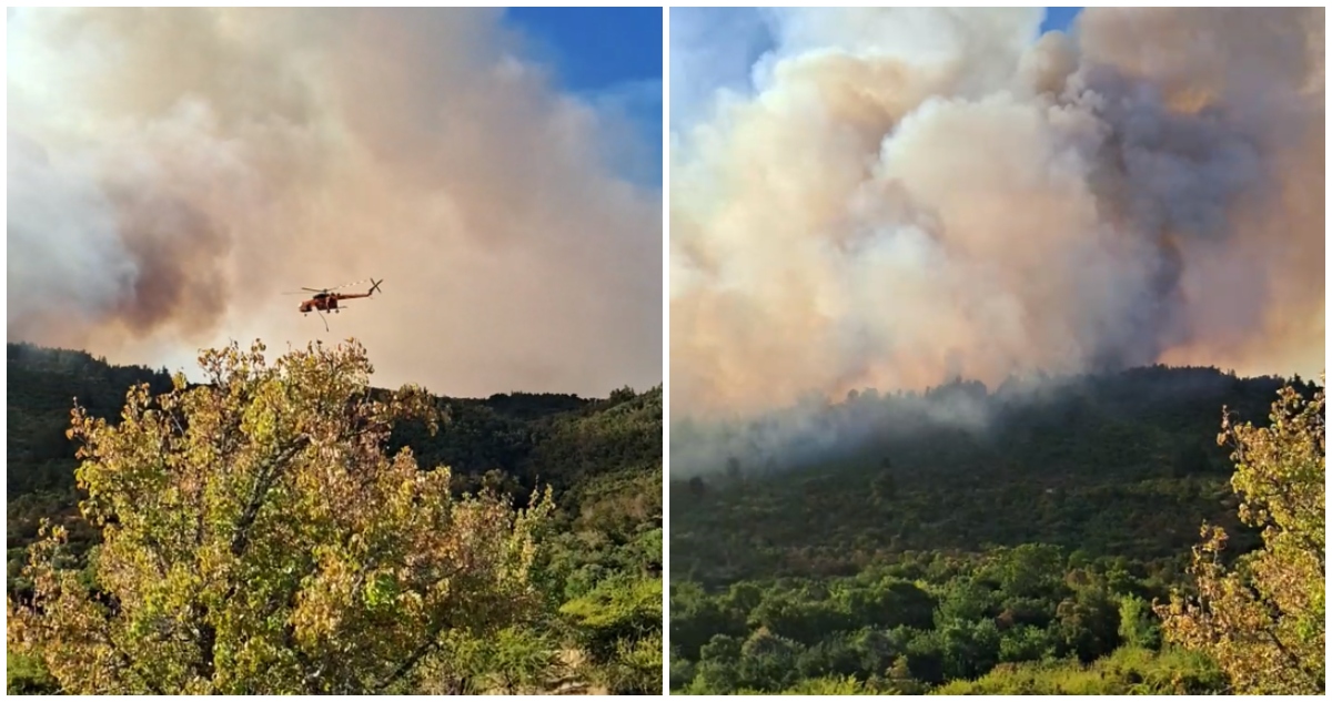 Incendio forestal en Ninhue