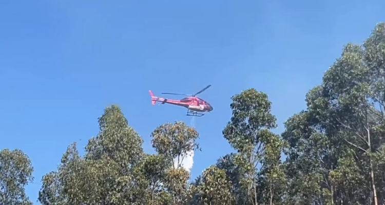 2,5 hectáreas de vegetación destruidas dejó incendio forestal en cerro Kunstmann de Valdivia