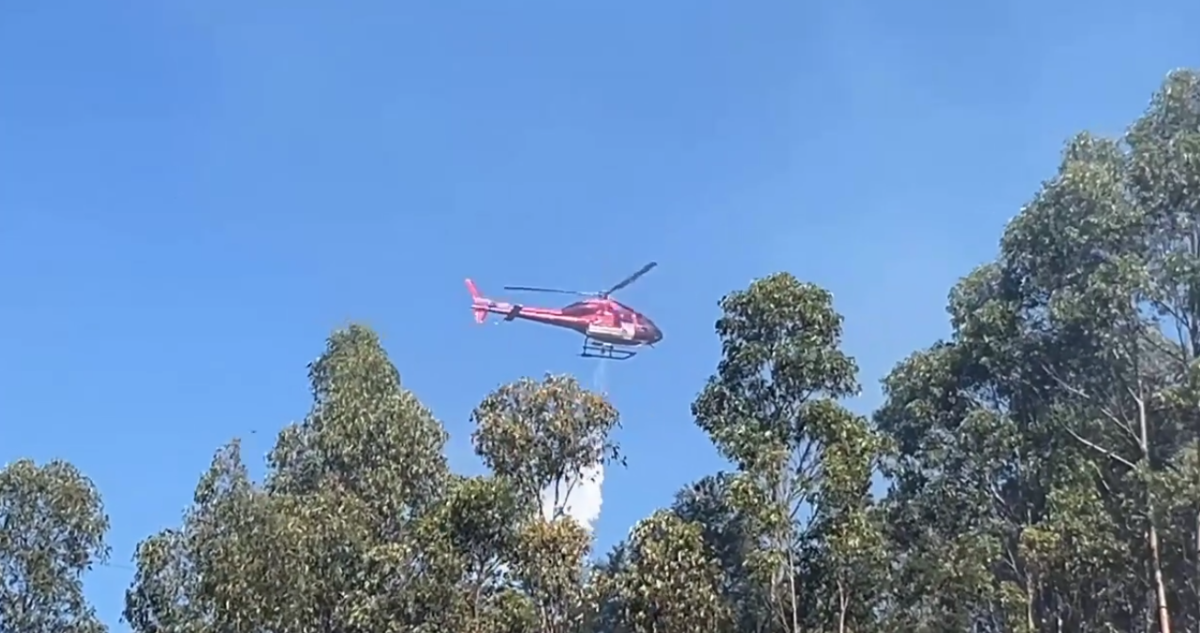 2,5 hectáreas de vegetación destruidas dejó incendio forestal en cerro Kunstmann de Valdivia