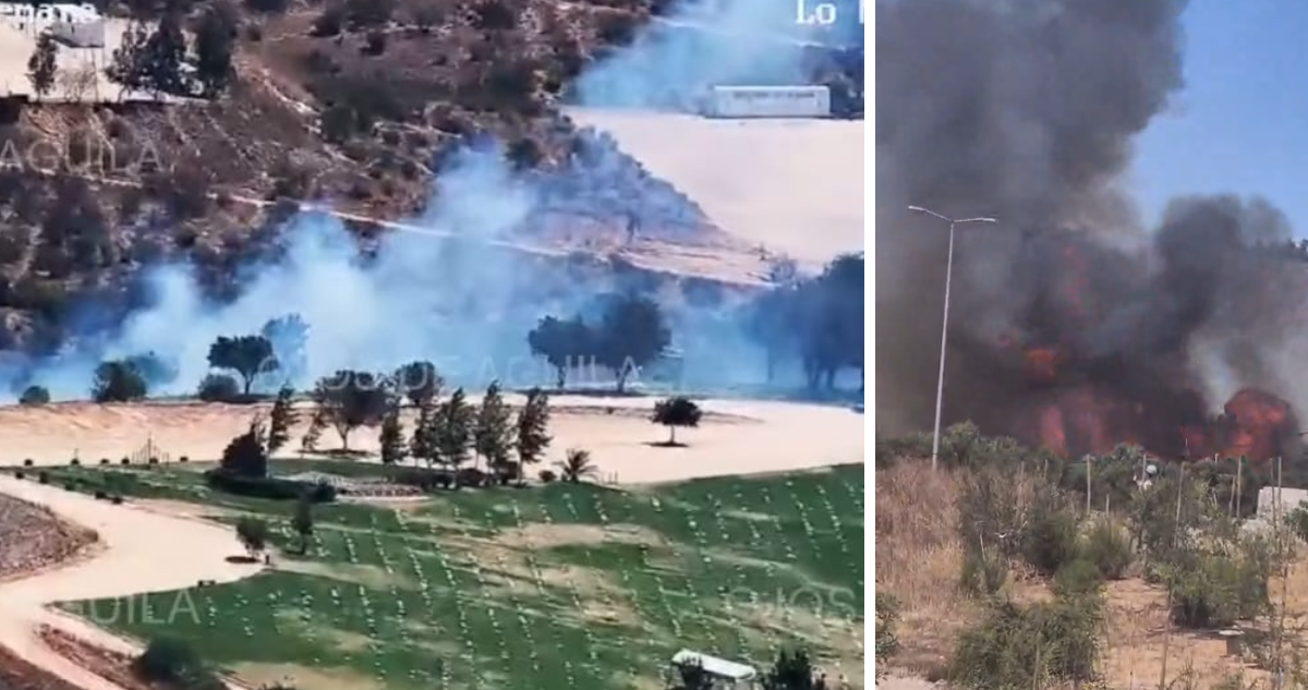 Fuego está cerca de cementerio: reportan incendio forestal en Villa Alemana