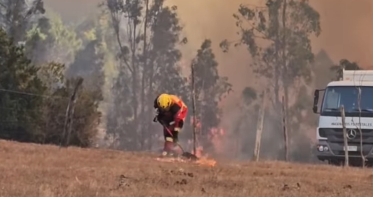 Alcalde de Galvarino interpone denuncia por seguidilla de incendios forestales en zona rural
