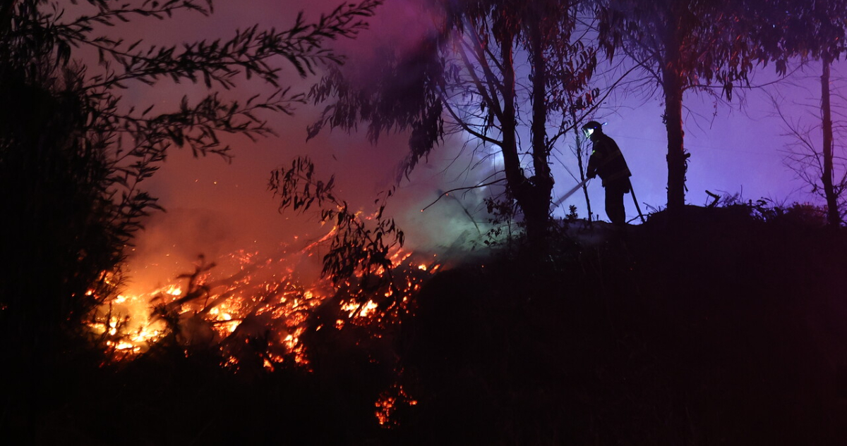 Ipsos: 72% cree que incendios fueron intencionales y valoran a influencers por sobre las instituciones