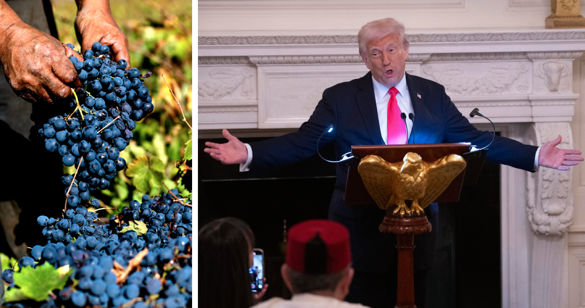 Industria frutera hace llamado “urgente” a Boric y Kast para abordar nuevo arancel global de Trump
