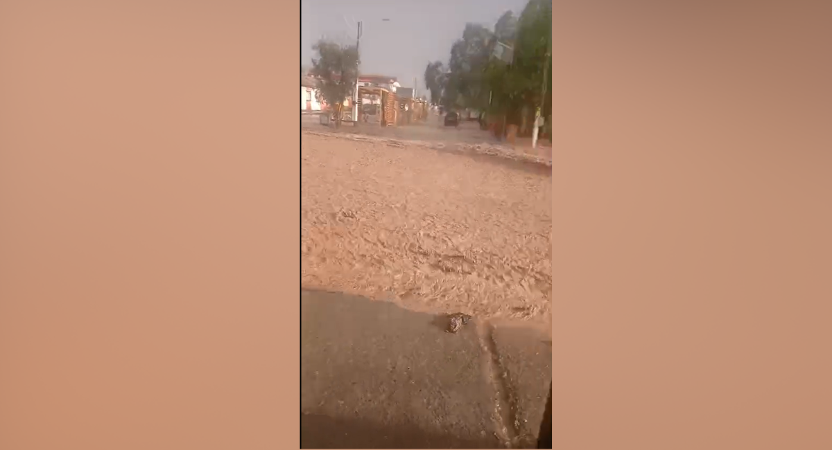 Captura de video
