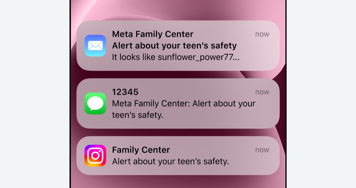 Foto ejemplo de las notificaciones de Instagram