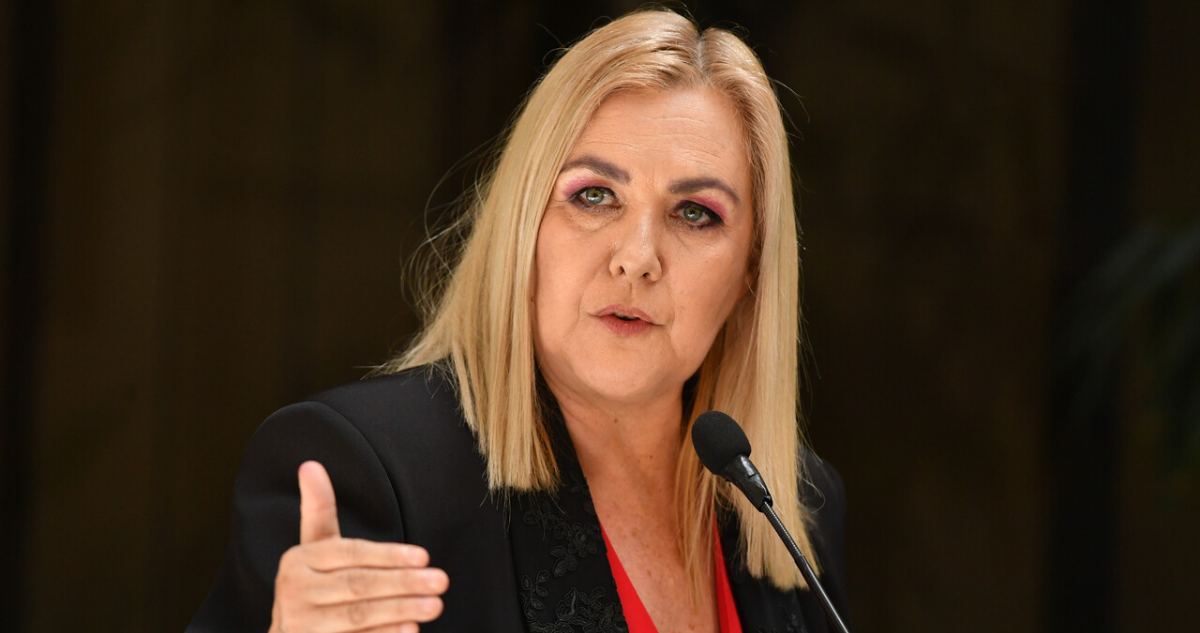 Jiles (PDG) insiste en retiros para damnificados de incendios e incentivar salida de inmigrantes