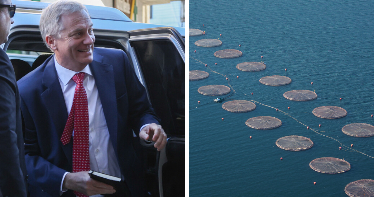 Kast afirma que “podríamos ser la primera potencia” salmonera global y critica la Ley Lafkenche