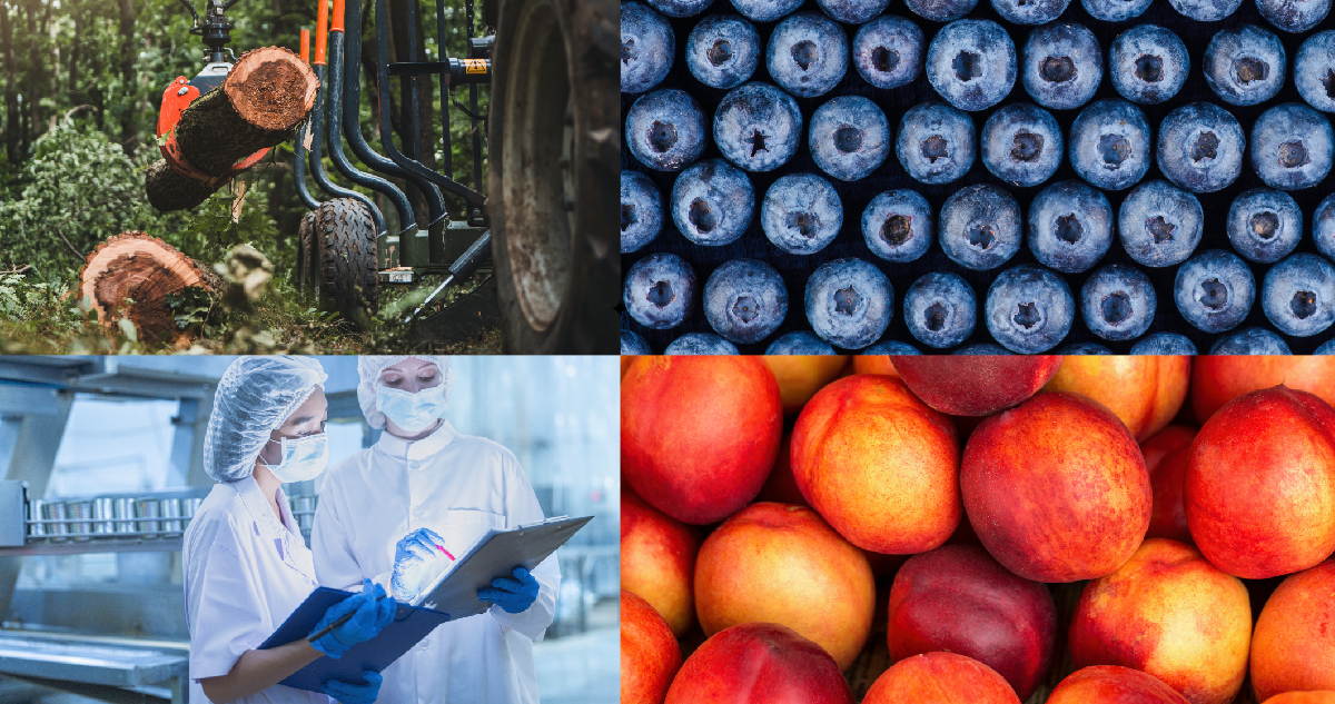 Las exportaciones chilenas de bienes arrancaron 2026 con un enero histórico: más de US$10.000 millones