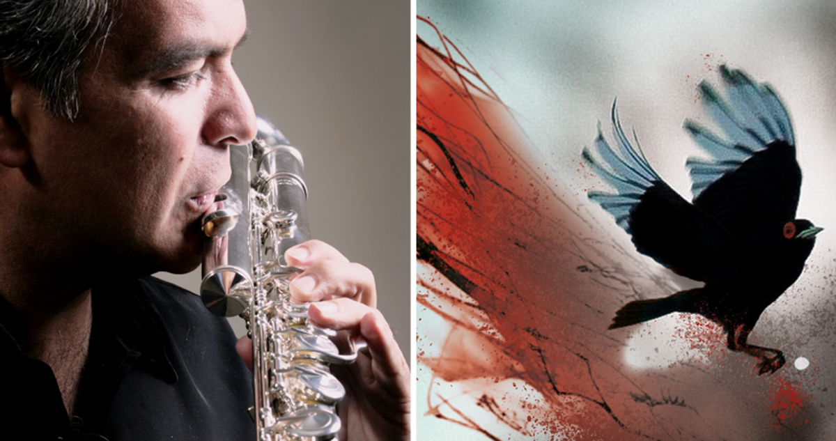 lavanderos el secreto de los pajaros