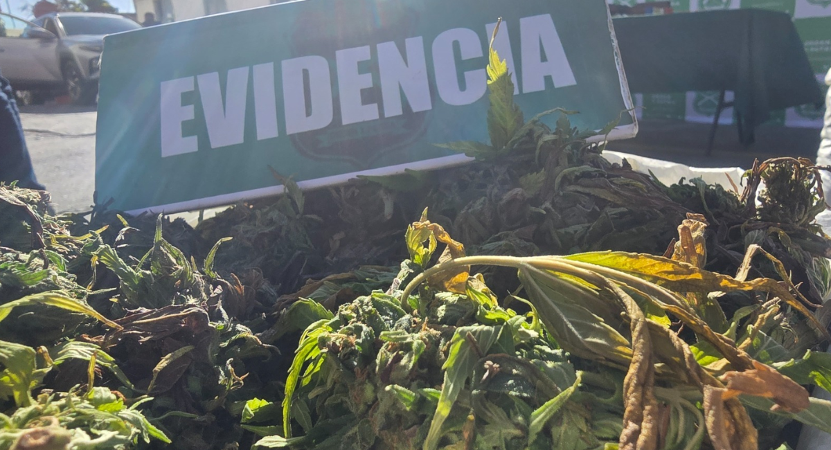 Cedida a BioBioChile