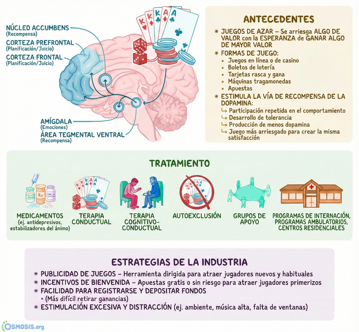 Comportamiento cerebral frente a la ludopatía